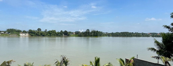 Bán nhà vườn view sông Đồng Nai, kế cầu Bạch Đằng Tân Bình, Vĩnh Cửu 2300m2-03
