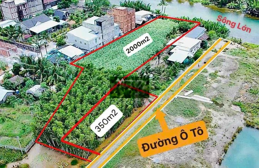 Bán đất 3.2 tỷ Liên Cảng, Đồng Nai diện tích dài 2000m2-01