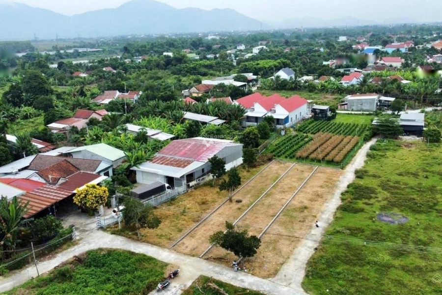 Bán đất 1.5 tỷ Tỉnh Lộ 2, Diên Khánh với diện tích 150m2-01