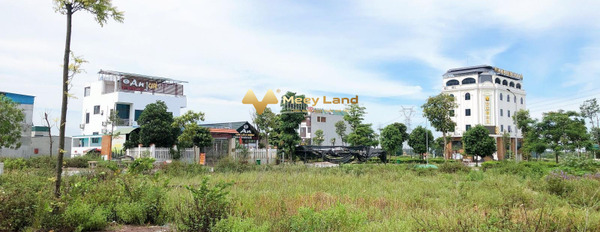 Quốc Lộ 17, Thuận Thành bán đất, hướng Đông Có tổng diện tích 95 m2-03