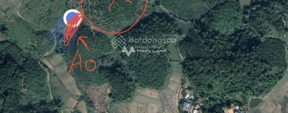 190 triệu bán đất diện tích thực dài 10000m2 vị trí cực kì thuận lợi ngay tại Định Hóa, Thái Nguyên-03