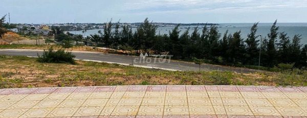 Bán mảnh đất, giá siêu mềm chỉ 990 triệu có một diện tích là 200m2-02