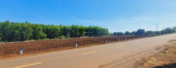 690 triệu bán đất với diện tích 120m2 vị trí tốt ở Lộc An, Phước Long-03