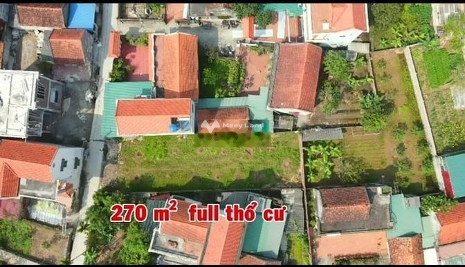 Quốc Lộ 39A, Hưng Yên 1.84 tỷ bán đất với diện tích 270m2-01