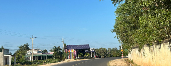 Bán 1800m2 đất đường Ngô Đức Tốn - La Gi chưa qua đầu tư, gần biển Tam Tân-03