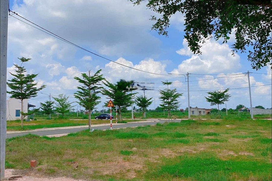 Tọa lạc ngay trên Hàm Thắng, Bình Thuận bán đất giá bán đề cử chỉ 800 triệu diện tích quy đổi 100m2-01