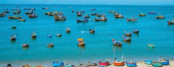 Bán đất tại Mũi Né, Phan Thiết. Diện tích 130m2-02