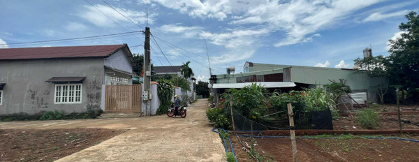 Bán đất trên Lê Hồng Phong, Đồng Nai, giá bán 1,15 tỷ-03