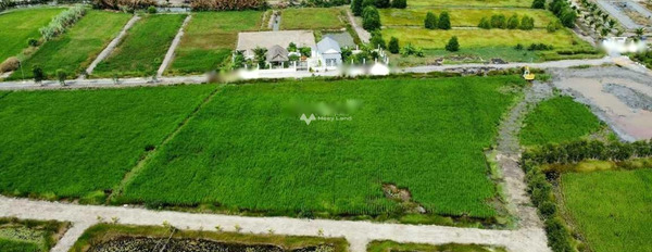 Bán đất ở Phạm Thái Bường, Đồng Nai, giá bán 1,6 tỷ-03