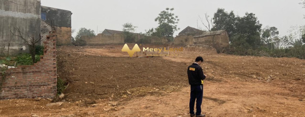 Bán đất tại Quốc Lộ 31, Bắc Giang. Diện tích 310m2, giá thương lượng-02