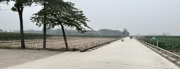 Mặt tiền nằm ở Thắng Trí, Hà Nội bán đất giá hữu nghị từ 3.62 tỷ diện tích chính là 345m2-02