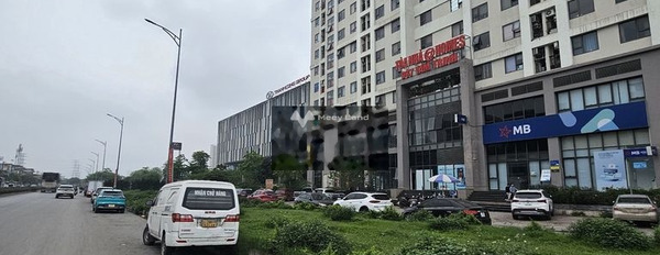 Bán mảnh đất, giá bán siêu mềm từ 52 tỷ có diện tích quy ước 205m2-02