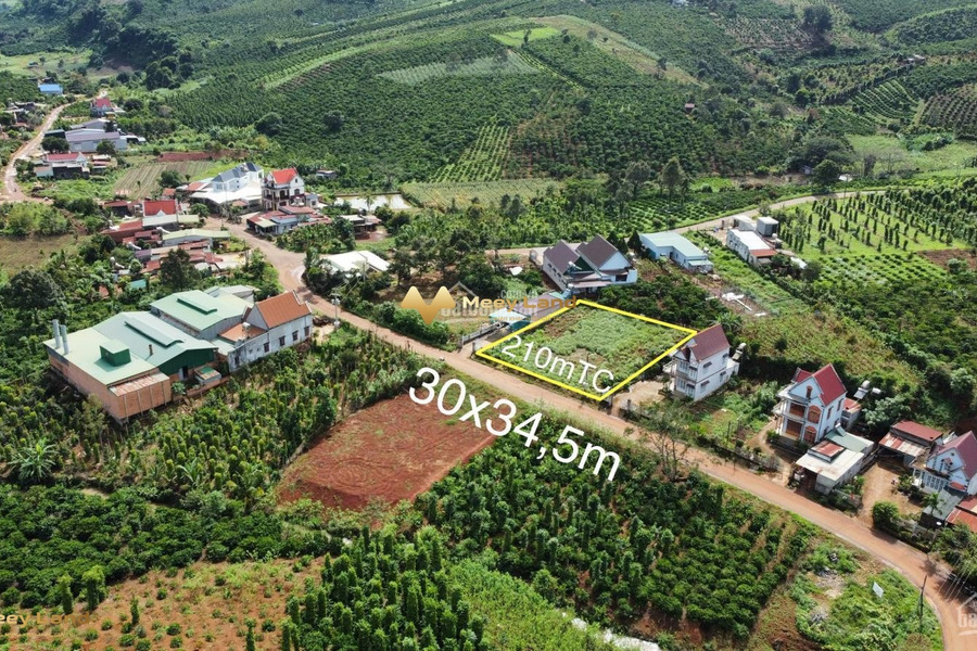 Huyện Di Linh, Tỉnh Lâm Đồng bán đất giá cơ bản 3 tỷ có dt trung bình 1030 m2-01