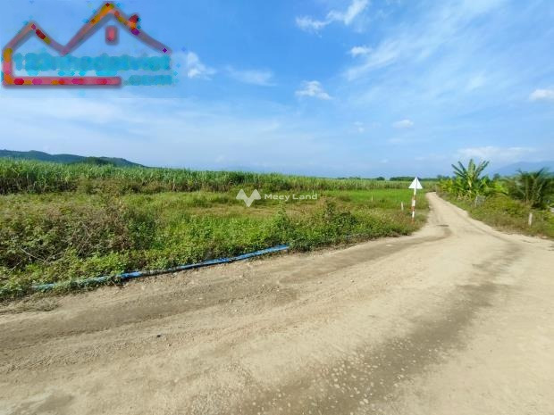 Ở Diên Khánh, Khánh Hòa bán đất 790 triệu, hướng Bắc Diện tích nền 968m2-01