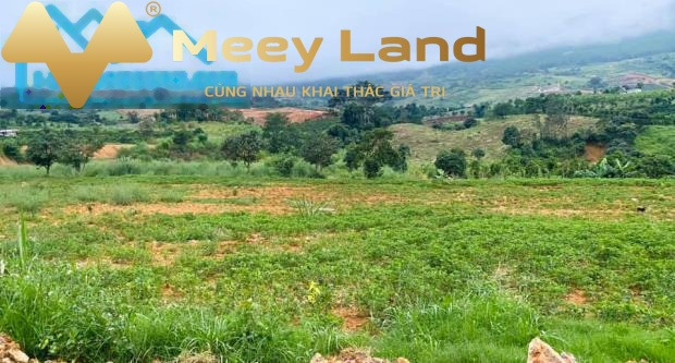 Xã Đông Thanh, Tỉnh Lâm Đồng bán đất giá hạt dẻ từ 509 triệu diện tích rộng là 216 m2-01