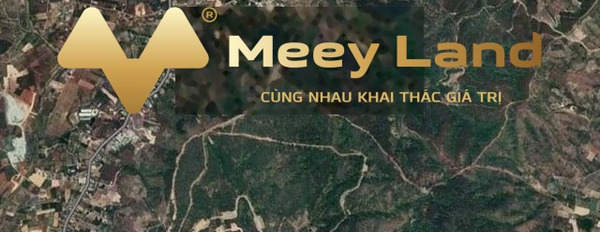Bán đất tại Gia Lâm, Lâm Đồng. Diện tích 500m2, giá 580 triệu-02