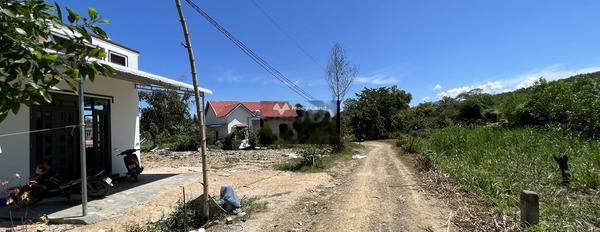 Khánh Phú, Khánh Vĩnh 590 triệu bán đất có diện tích tiêu chuẩn 1000m2-03