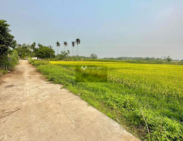 Vị trí mặt tiền tọa lạc ở Điện Tiến, Điện Bàn bán đất giá siêu tốt chỉ 550 triệu diện tích tầm trung 220m2-01