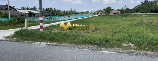 Vị trí đẹp ngay tại Bình Hòa, Long An bán đất giá khởi đầu từ 1.2 tỷ diện tích thực dài 312 m2-03