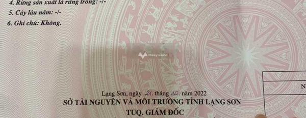 Lạng Sơn, Lạng Sơn 2.93 tỷ bán đất, hướng Tây - Bắc có diện tích thực 86.3m2-03