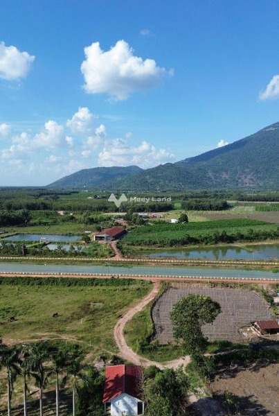 Gia đình khó khăn bán đất Tây Ninh, Tây Ninh giá cực rẻ chỉ 720 triệu diện tích tổng 300m2-01