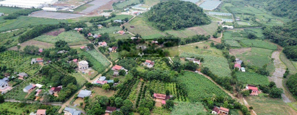 Bán đất 179 triệu Thạch Thành, Thanh Hóa với diện tích tiêu chuẩn 150m2-03