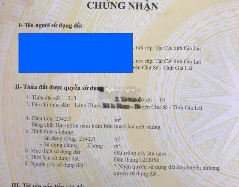 Giá công khai chỉ 450 triệu, Bán đất có diện tích quy ước 2542m2 vị trí đặt tọa lạc ngay Chư Sê, Gia Lai cực kì tiềm năng-01