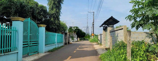 Sông Trầu, Đồng Nai bán đất giá rẻ bất ngờ 5.4 tỷ có diện tích chính 1550m2-02