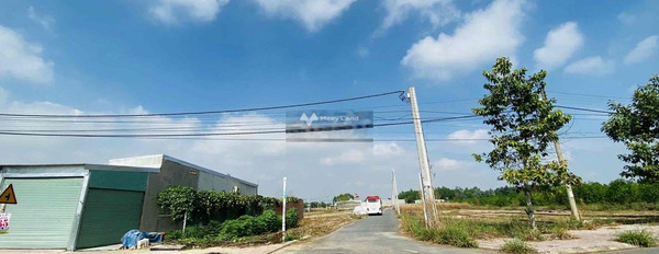 Biên Hòa, Đồng Nai bán đất giá gốc 900 triệu có một diện tích là 100m2-03