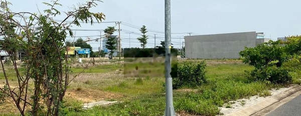 Chính chủ bán cắt lỗ đất Western City Phú An Thạnh Giá chỉ 600 triệu -02