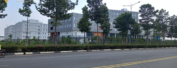Bán đất 300m2, đất mặt tiền vành đai 4, ngay cổng Đại học Việt Đức-03