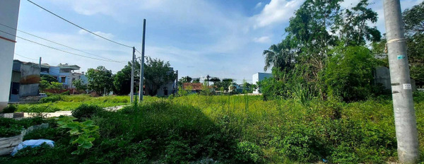 Bán đất diện tích 65m2 tại Tả Thanh Oai, Thanh Trì-03