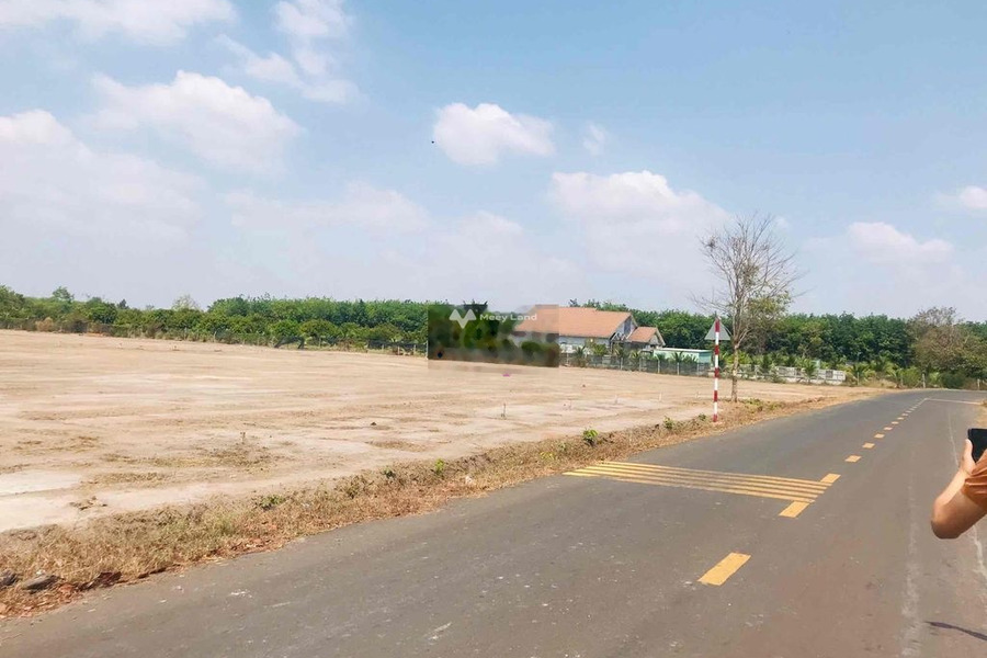 Vị trí tốt tại Lộc Hòa, Bình Phước bán đất giá bán cực rẻ 319 triệu diện tích chung 250m2-01