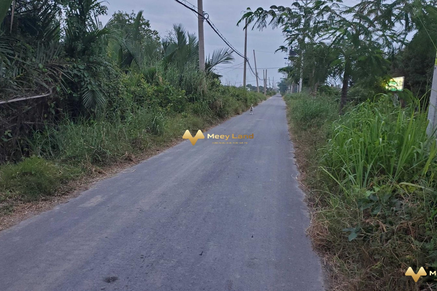 Giá bán rẻ 8.1 tỷ bán đất có dt chung 1700m2 tọa lạc tại Trần Quang Nhơn, Cần Giờ-01