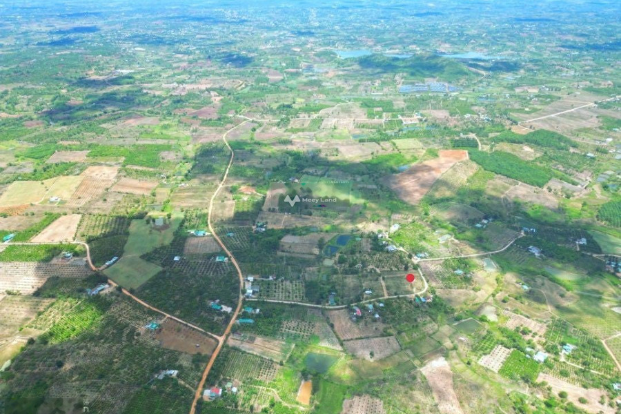 Bán đất diện tích 600m2 tại Ea Sar, Đắk Lắk-01