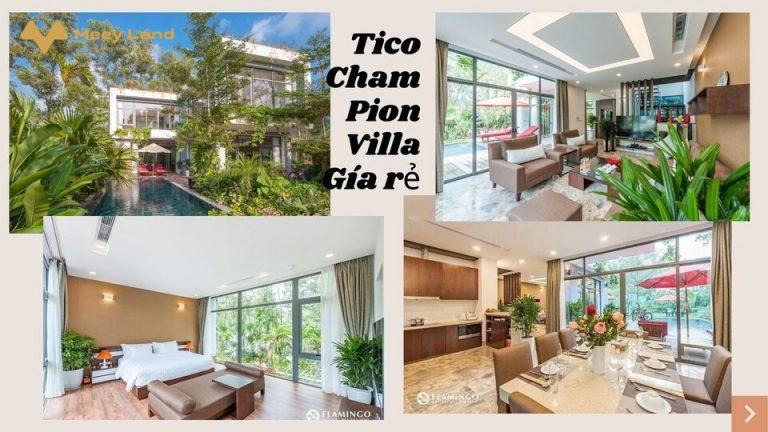 Cho thuê Tico Champion Villa