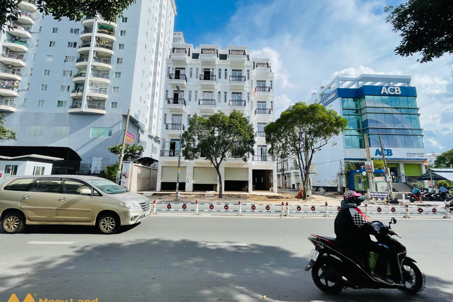 Bán gấp nhà 350m2 full nội thất công chứng liền Quận Tân Phú-01