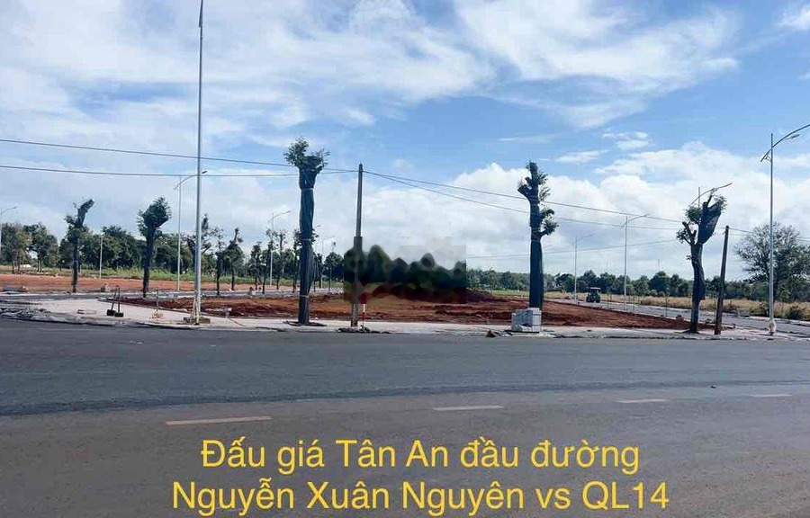 2 lô góc 2 mặt tiền đường nhựa Nguyễn Xuân Nguyên giá chỉ 895tr/1lô -01