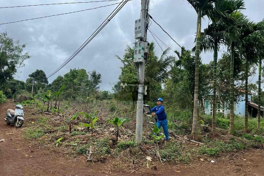 Vị trí phát triển Hòa Đông, Đắk Lắk bán đất giá bán khởi đầu chỉ 375 triệu với diện tích là 125m2-01