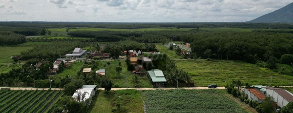 Ngay Xã Phan, Tây Ninh bán đất 325 triệu diện tích là 150m2-02