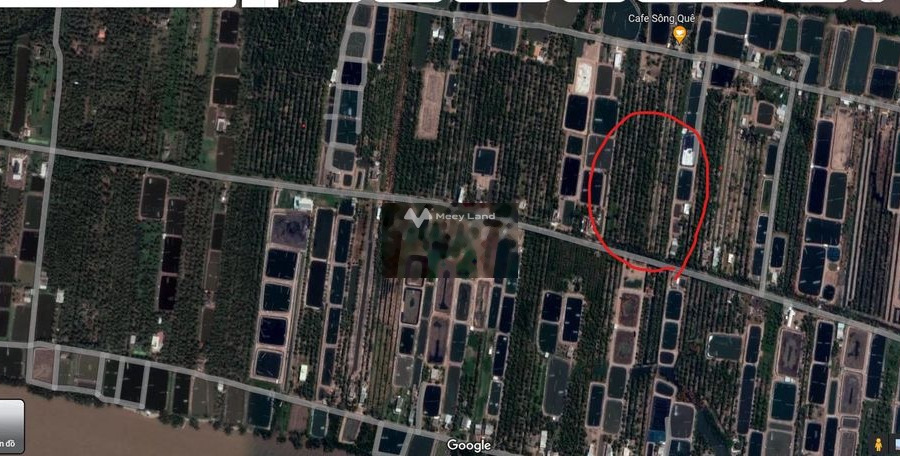 Bán mảnh đất Gò Công trên 8000m2, mặt tiền đường lớn 50m-01