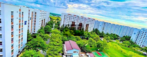 Cho thuê chung cư vị trí thuận lợi tọa lạc tại Bình Tân, Hồ Chí Minh, trong căn hộ tổng quan gồm 2 phòng ngủ, 2 WC bãi đậu xe rộng-02
