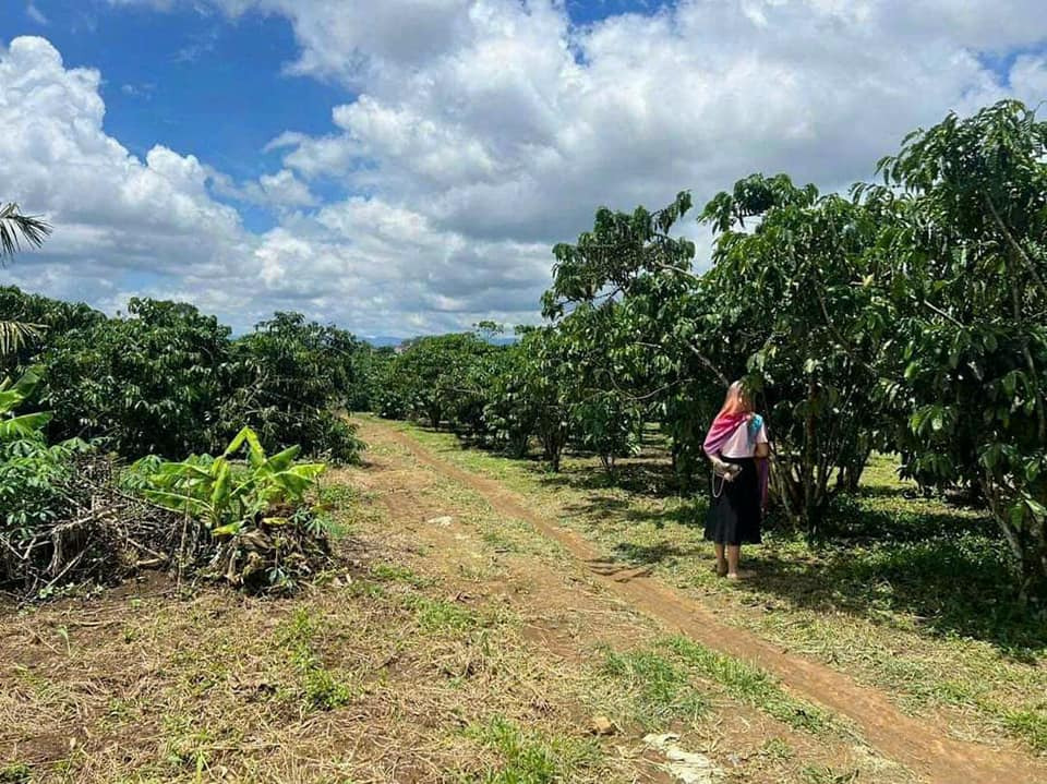 Bán đất quận Phú Nhuận thành phố Hồ Chí Minh giá 900.0 triệu-0