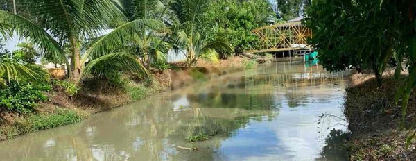 Bán mảnh vườn gồm dừa và mít thái ao cá nhà thuỷ tạ -02