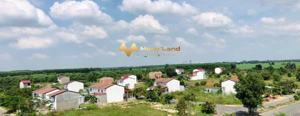 Detaco Nhơn Trạch Đường Nguyễn Văn Cừ, Xã Phước An bán đất giá mua ngay 892.5 triệu diện tích khoảng là 105 m2-02