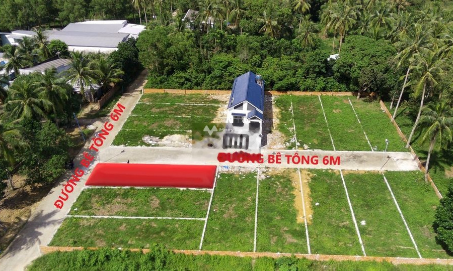 Trần Hưng Đạo, Kiên Giang bán đất giá bán thực tế từ 1.77 tỷ diện tích khoảng 144m2-01