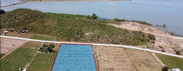 Chuyển định cư bán mảnh đất, 6m2 giá bán đề cử chỉ 4.8 tỷ vị trí đẹp gần Hồng Sơn, Hàm Thuận Bắc, hướng Bắc khu vực tiềm năng-03