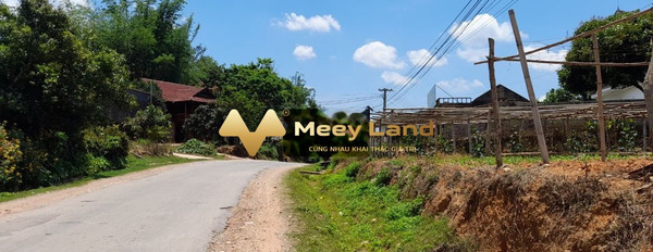 Vị trí đẹp tọa lạc ngay ở Quốc Lộ 43, Sơn La bán đất giá mua liền từ 777.78 triệu có dt khoảng 600 m2-02