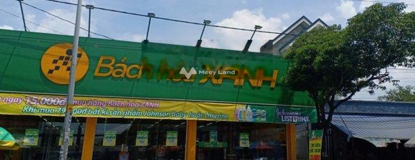 Phú Xuân, Hồ Chí Minh bán đất giá cực rẻ từ 810 triệu diện tích chung 100m2-03