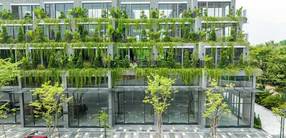 Thuộc trục chính dự án Eco Central Park, bán liền kề vị trí tốt tại Nguyễn Sỹ Sách, Vinh bán ngay với giá ưu đãi 6.87 tỷ diện tích quy đổi 93m2